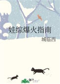 《娃综爆火指南》封面