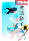 《玻璃橘子》封面
