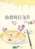 《仙君何日飞升》封面