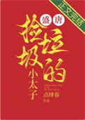 《盛唐捡垃圾的小太子》封面