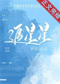 《追星星》封面
