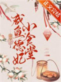 《清穿之咸鱼德妃小食堂》封面