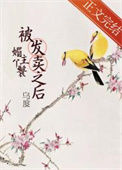 《媚主丫鬟被发卖之后》封面