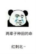 《第九农学基地》封面