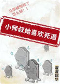 《小师叔她喜欢死遁》封面