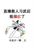 《直播教人习武后我爆红了》封面
