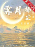 《霁月拂尘》封面