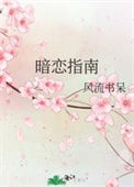《暗恋指南》封面