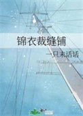 《锦衣裁缝铺》封面