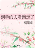 《到手的夫君跑走了》封面