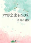 《六零之家有宝珠》封面