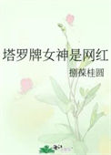 《塔罗牌女神是网红》封面