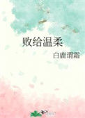 《败给温柔》封面