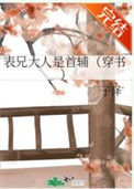 《表兄大人是首辅（穿书）》封面