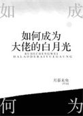 《如何成为大佬的白月光》封面