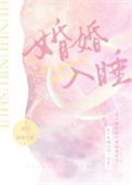 《婚婚入睡》封面