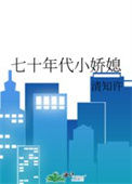 《七十年代小娇媳》封面