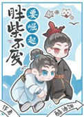 《胖柴不废要崛起》封面