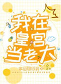 《我在皇宫当老大》封面