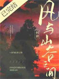 《风与山谷之间》封面