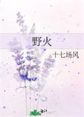 《野火》封面