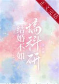 《结婚不如搞科研》封面