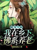 《随身空间：我在乡下佛系养老》封面
