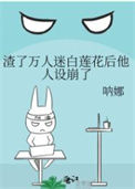 《渣了万人迷白莲花后他人设崩了》封面