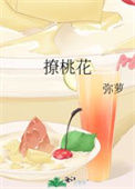 《撩桃花》封面