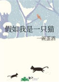 《假如我是一只猫》封面