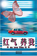 《红气养我》封面