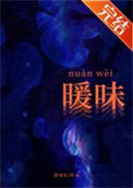 《暖味nuǎnwèi》封面