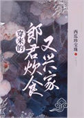 《穿来的郎君炊食又兴家》封面