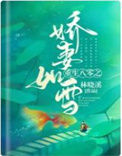 《重生八零之娇妻如雪》封面