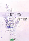 《闻声寻野》封面