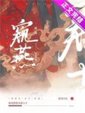 《窥燕（双重生）》封面