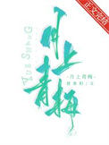 《月上青梅》封面