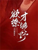 《欲撩，才够野》封面