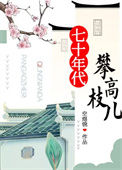 《七十年代攀高枝儿》封面