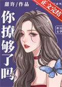《你撩够了吗》封面