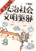 《法治社会，文明驱邪》封面