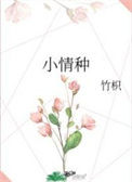 《小情种》封面