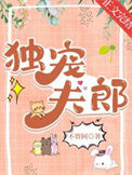 《独宠夫郎》封面