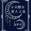 《女巫醒在狼人之夜》封面