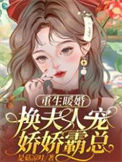 《重生暖婚，换夫人宠娇娇霸总！》封面