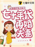 《七十年代再婚夫妻》封面