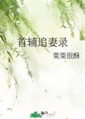 《首辅追妻录》封面
