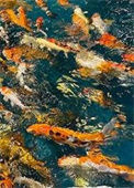 《剑宗不养闲人，咸鱼可以》封面