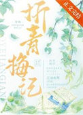 《折青梅记》封面