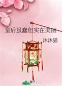 《皇后虽蠢但实在美丽》封面